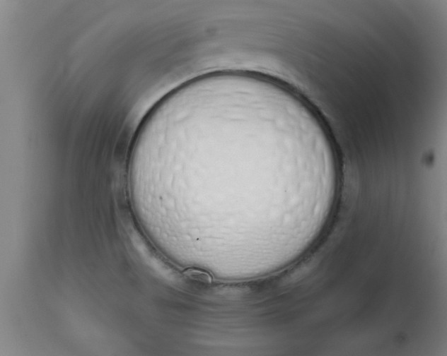 X0000112521513200909071320
