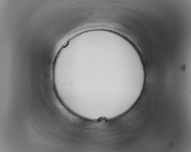 X0000112521516200909071320