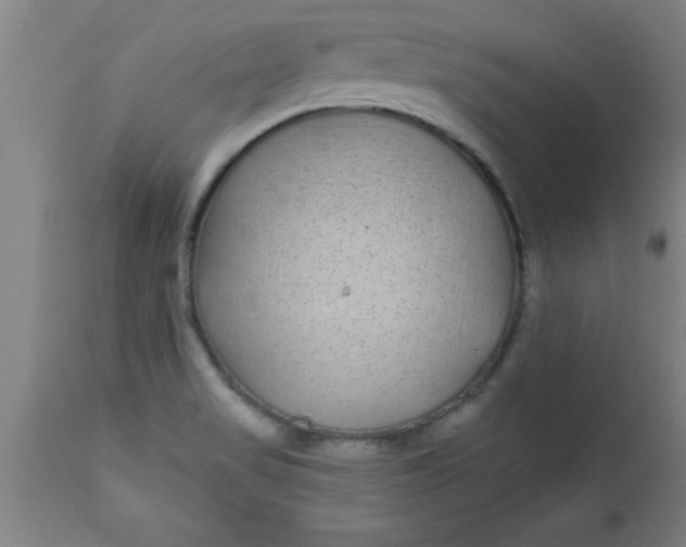 X0000112521517200909071320