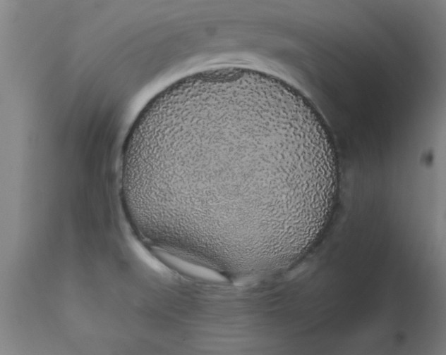 X0000112521519200909071320