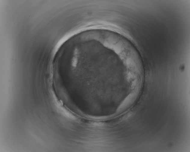 X0000112521522200909071320