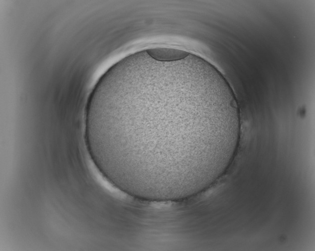 X0000112521523200909071320