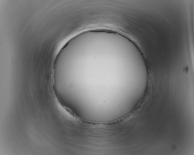 X0000112521524200909071320