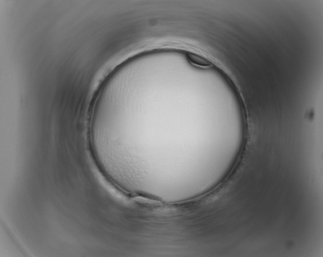 X0000112521525200909071320