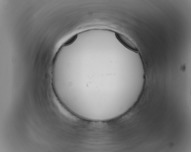 X0000112521526200909071320