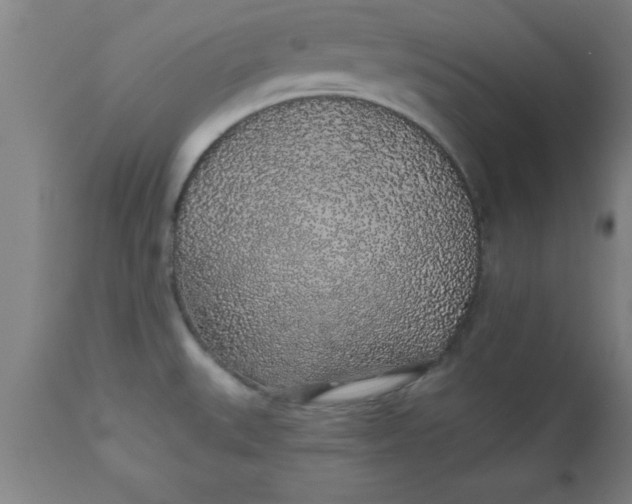 X0000112521527200909071320