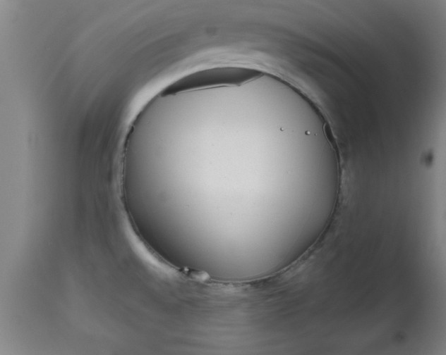 X0000112521528200909071321