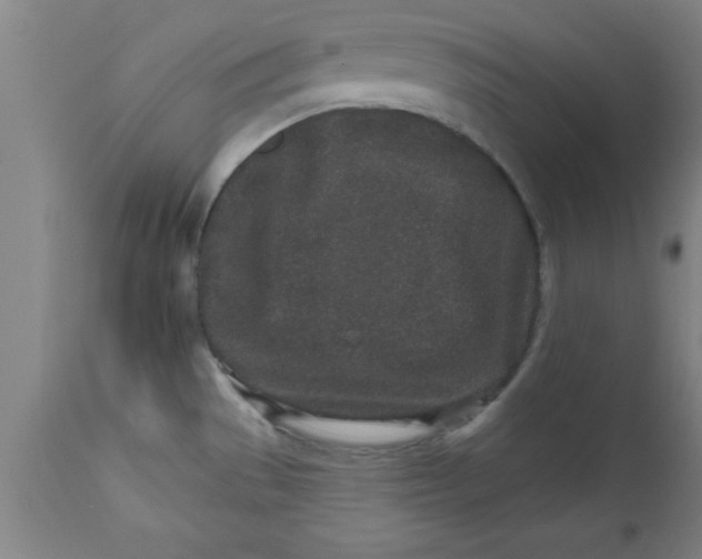 X0000112521529200909071321