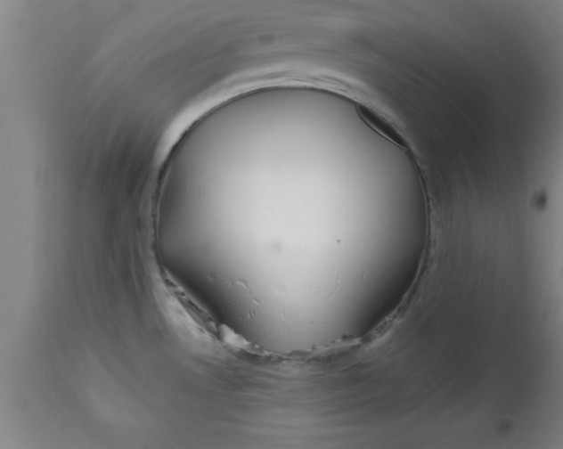 X0000112521530200909071321