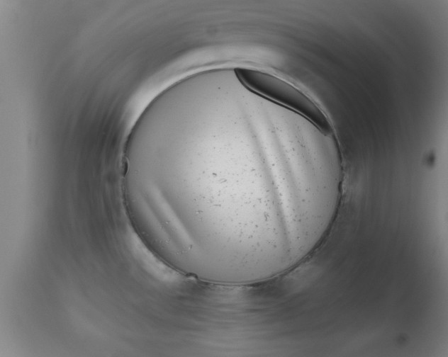 X0000112521532200909071321
