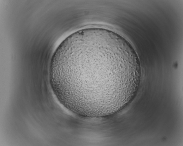 X0000112521533200909071321