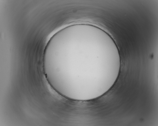 X0000112521534200909071321
