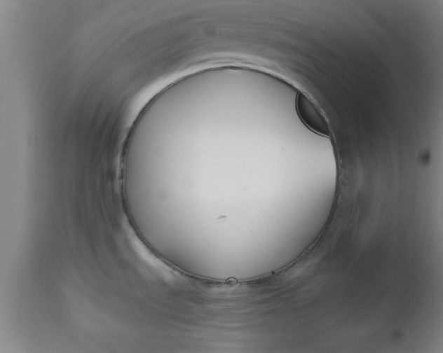 X0000112521535200909071321