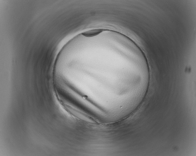 X0000112521536200909071321