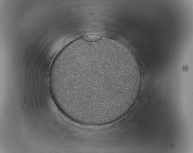 X0000112520002200909141234
