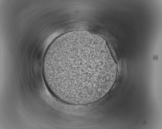 X0000112520003200909141234
