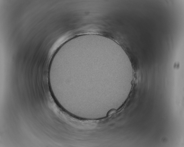 X0000112520004200909141234