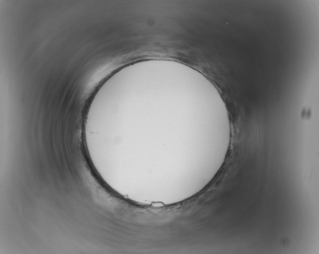 X0000112520005200909141234