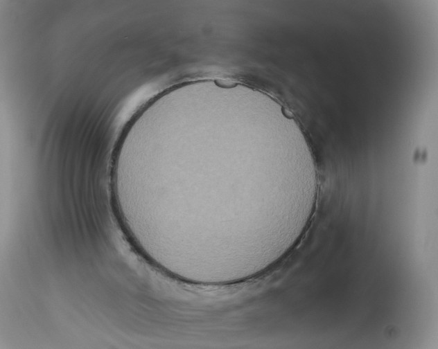 X0000112520006200909141234