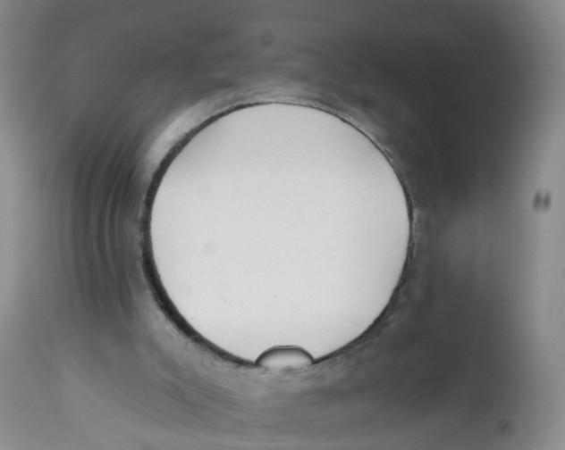 X0000112520007200909141234