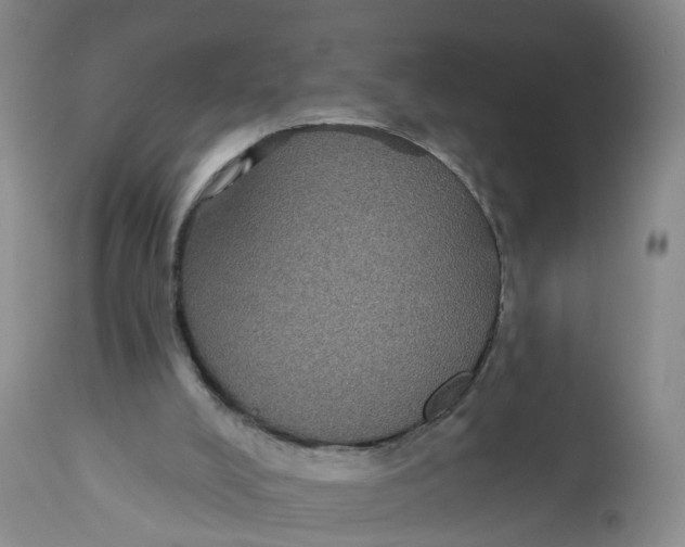 X0000112520008200909141234
