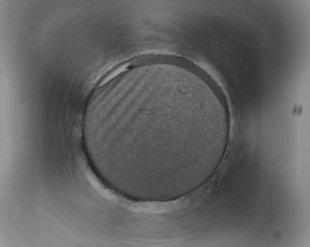 X0000112520009200909141234