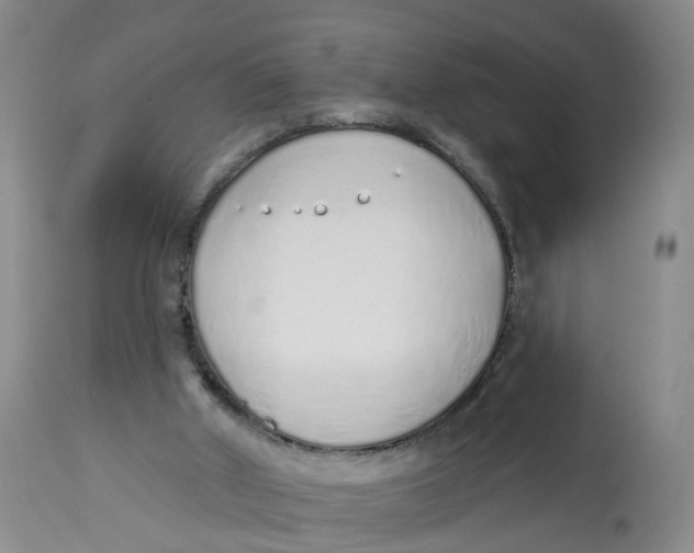 X0000112520010200909141234