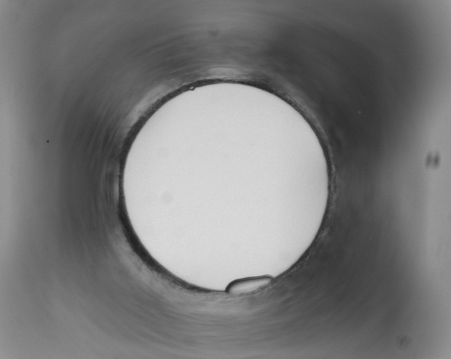 X0000112520011200909141234