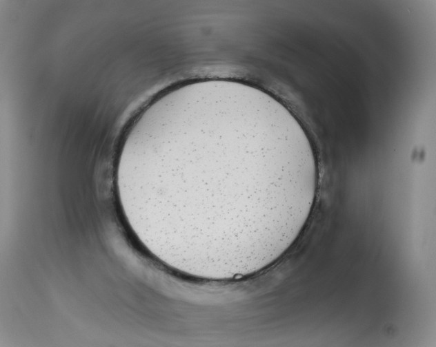 X0000112520012200909141233