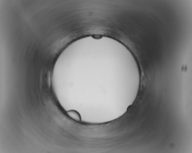 X0000112520013200909141233