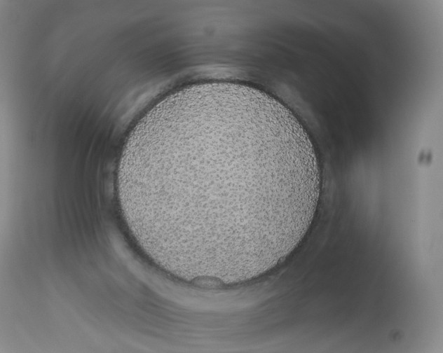 X0000112520014200909141233