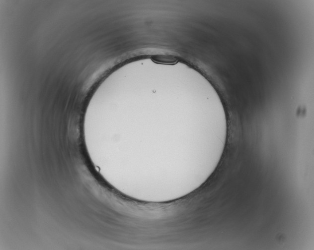 X0000112520015200909141233