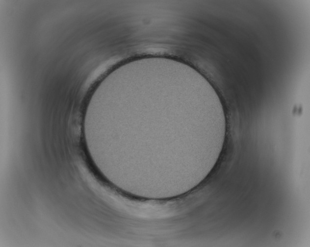X0000112520016200909141233