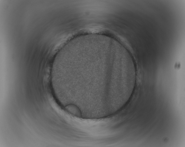 X0000112520018200909141233