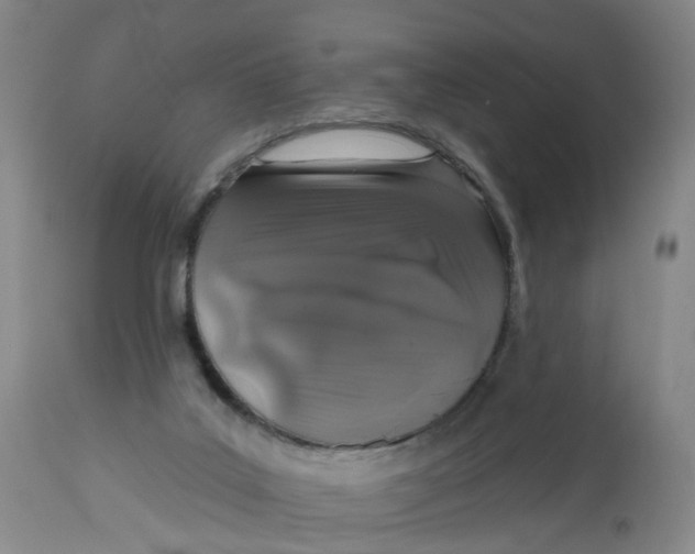 X0000112520019200909141233