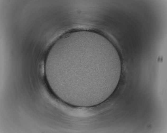 X0000112520020200909141233