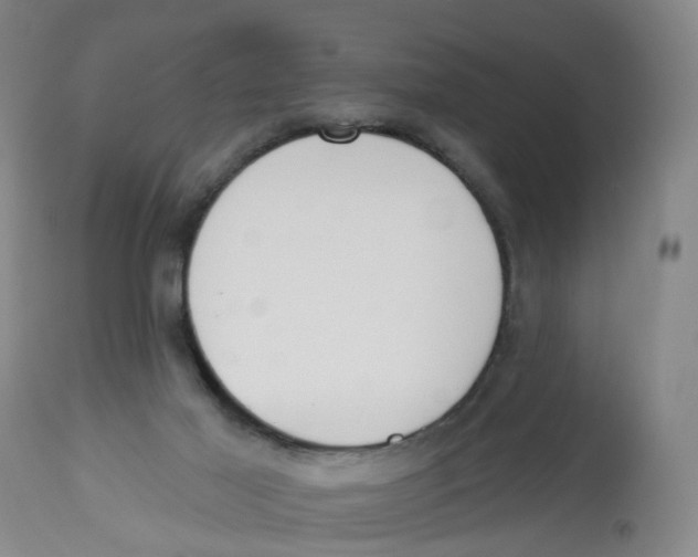 X0000112520021200909141233