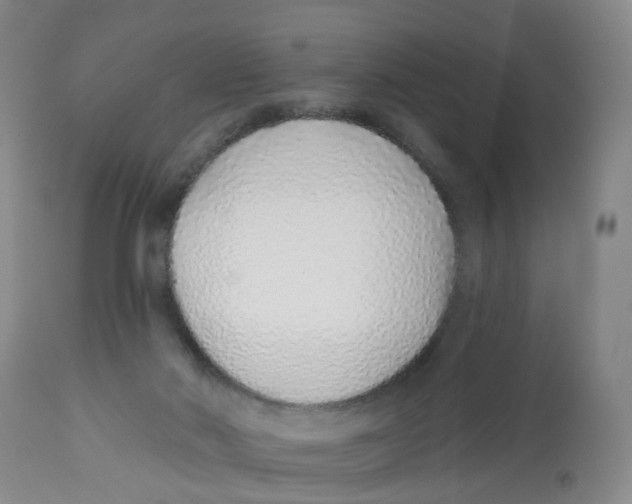 X0000112520022200909141233