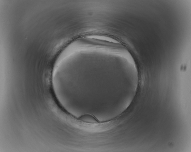 X0000112520023200909141233