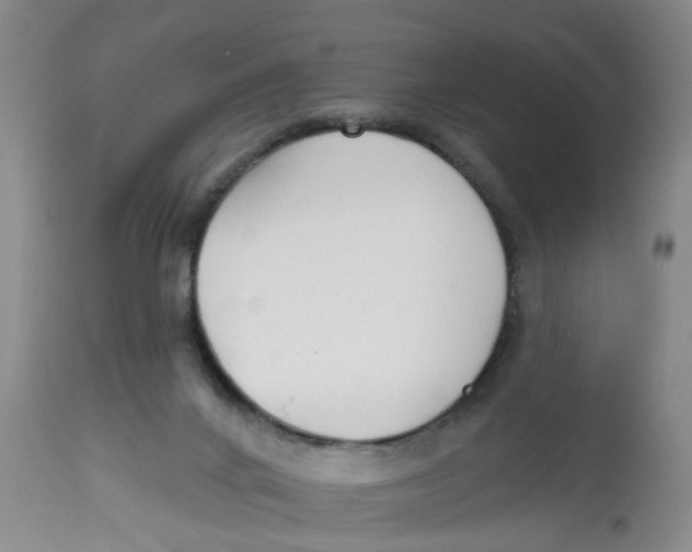 X0000112520024200909141233