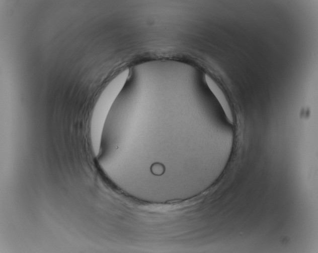 X0000112520025200909141233