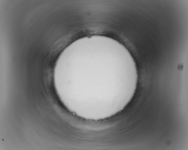 X0000112520026200909141233