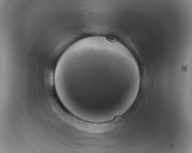 X0000112520027200909141233