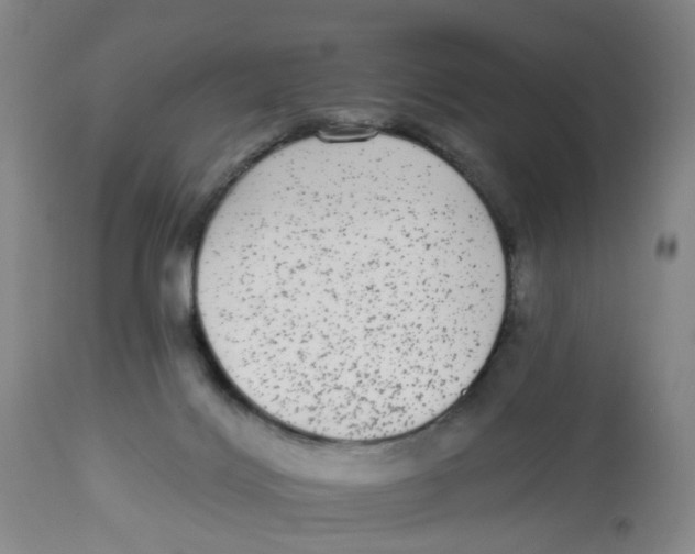 X0000112520028200909141233