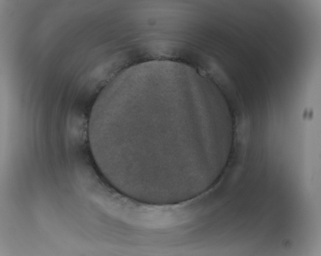X0000112520029200909141233