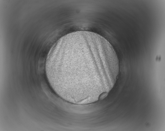 X0000112520030200909141233
