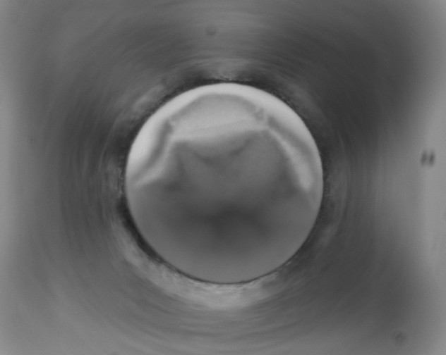 X0000112520031200909141233