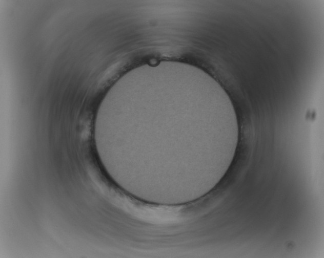 X0000112520032200909141233