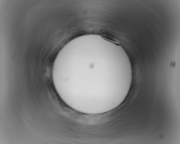 X0000112520033200909141233