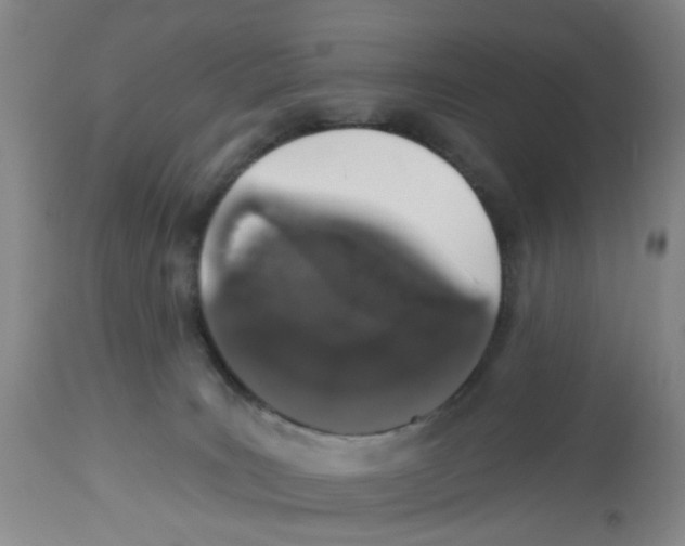 X0000112520035200909141233